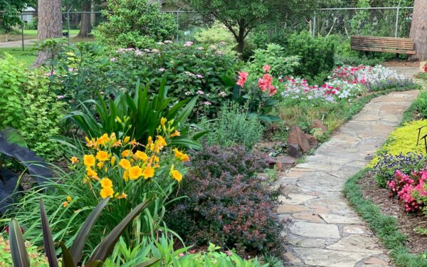 Naturlig hage med mer liv: slik får du et frodig uteområde som også trives uten kjemi