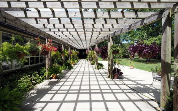 Pergola med klatreplanter: grønn skygge og lun uteplass uten store inngrep