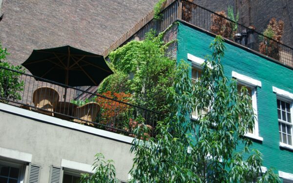 Skjermende utestue med planter: slik lager du en grønn vegg på terrasse eller balkong