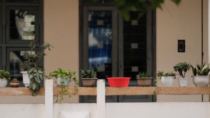 Slik lykkes du med tomatdyrking i krukker på balkong og uteplass