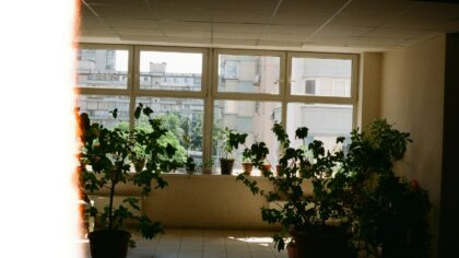 Små sommergrep som gir leiligheten friskere luft og mindre rot