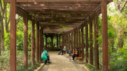 Pergola i hagen: enkle grep som gir mer skygge, stemning og brukstid ute