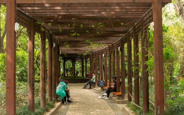 Pergola i hagen: enkle grep som gir mer skygge, stemning og brukstid ute