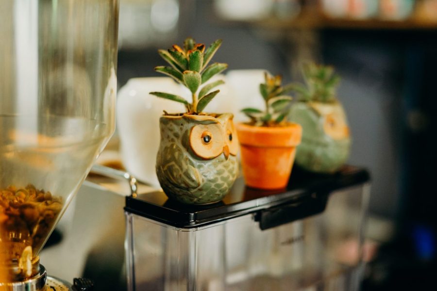 Hovedillustrasjon. Foto: Pexels