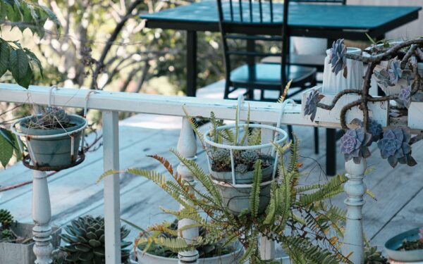 Skyggefulle uteplasser med liv: robuste planter som trives uten full sol