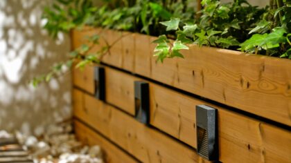 Tett hekk på liten plass: praktiske hekkplanter for små tomter og byhager